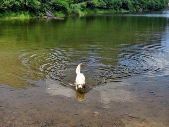 picture taken during a hike