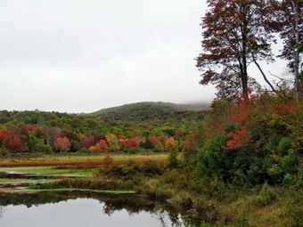 picture taken during a hike