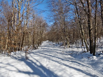 picture taken during a hike