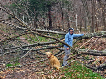 picture taken during a hike