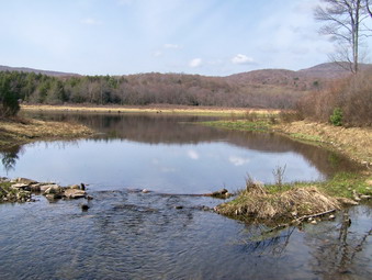 picture taken during a hike