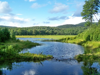 picture taken during a hike