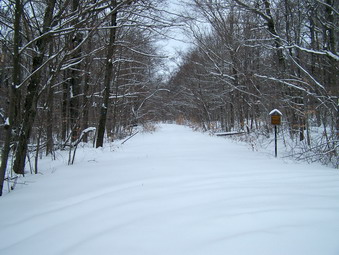 picture taken during a hike