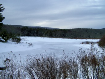 picture taken during a hike