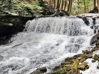 picture taken during a hike