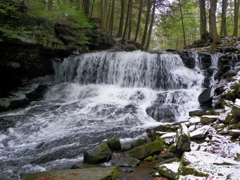 picture taken during a hike