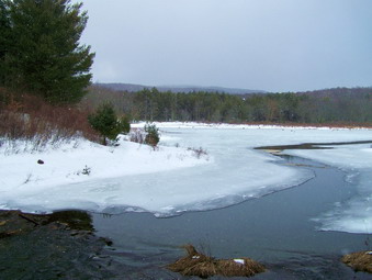 picture taken during a hike