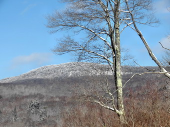 picture taken during a hike