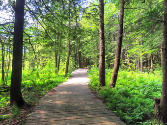 picture taken during a hike