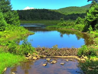 picture taken during a hike