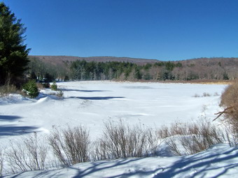 picture taken during a hike