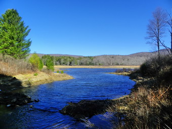 picture taken during a hike