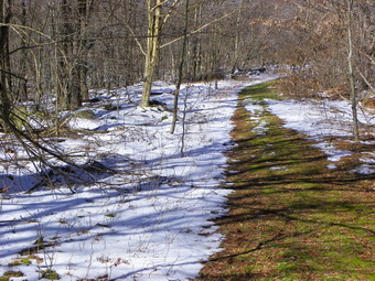 picture taken during a hike