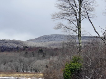 picture taken during a hike