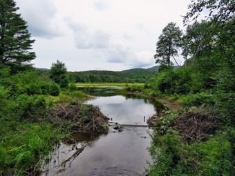 picture taken during a hike