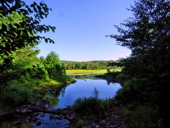 picture taken during a hike