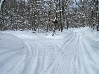 picture taken during a hike