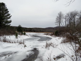 picture taken during a hike