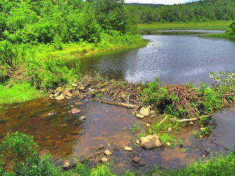 picture taken during a hike