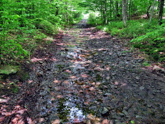 picture taken during a hike