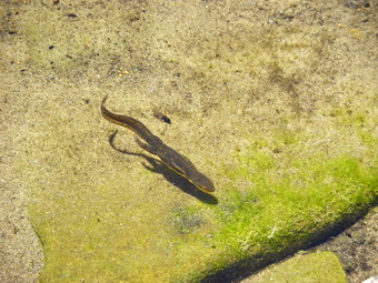 picture taken during a hike