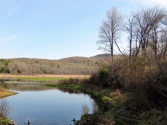 picture taken during a hike