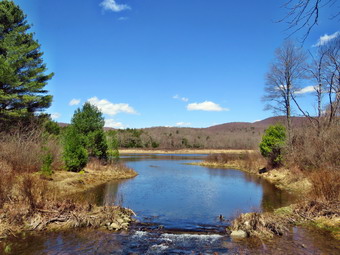 picture taken during a hike