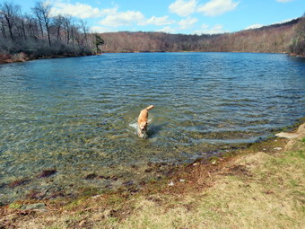 picture taken during a hike