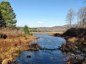 picture taken during a hike