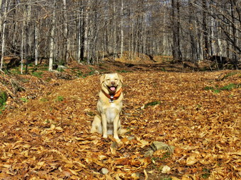 picture taken during a hike