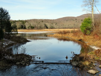 picture taken during a hike