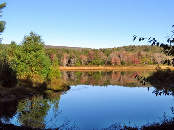 picture taken during a hike