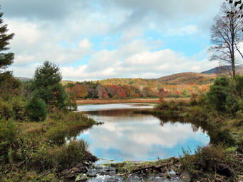 picture taken during a hike