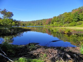 picture taken during a hike