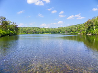 picture taken during a hike