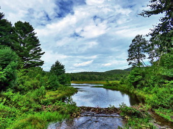 picture taken during a hike