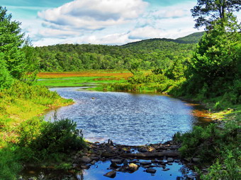 picture taken during a hike