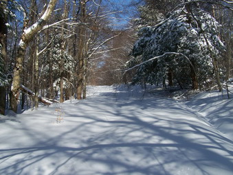 picture taken during a hike