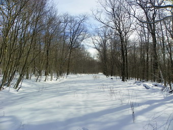 picture taken during a hike