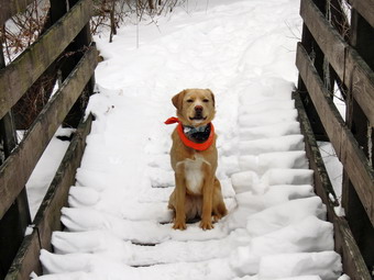 picture taken during a hike