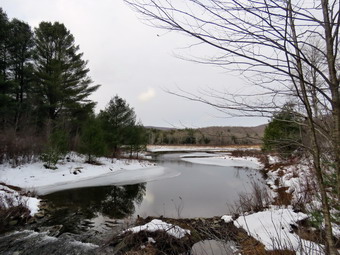 picture taken during a hike