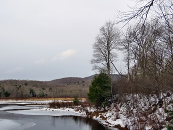 picture taken during a hike