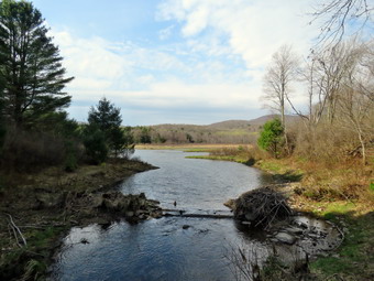 picture taken during a hike