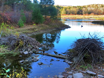 picture taken during a hike