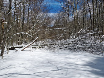 picture taken during a hike