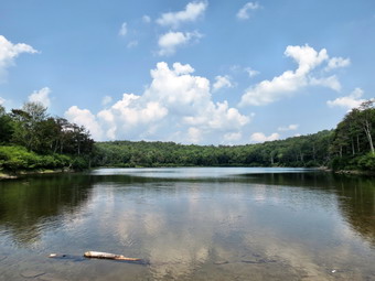 picture taken during a hike