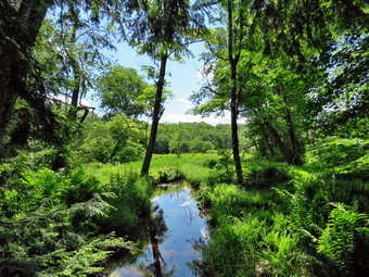 picture taken during a hike