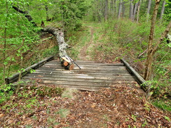 picture taken during a hike