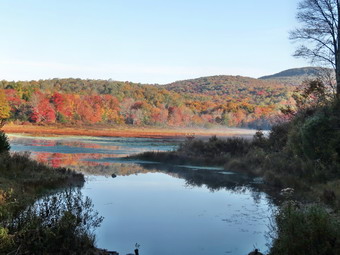 picture taken during a hike