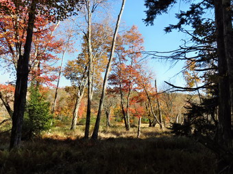 picture taken during a hike